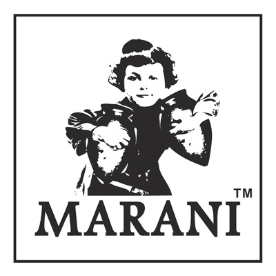 პარტნიორის ლოგო